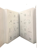 Load image into Gallery viewer, Advent Calendar - Reusable Hybrid